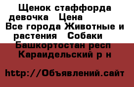 Щенок стаффорда девочка › Цена ­ 20 000 - Все города Животные и растения » Собаки   . Башкортостан респ.,Караидельский р-н